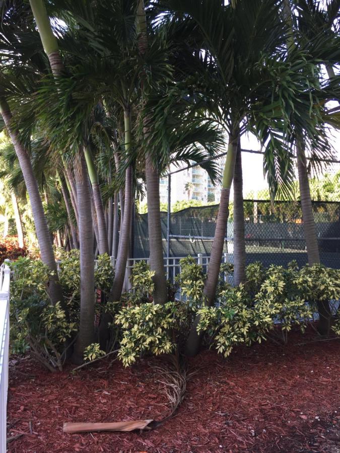 Ferienwohnung Disfruta Sunny Isles Ocean 1206 Str-02816 Miami Beach Exterior foto